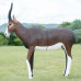 Wildcrete Blesbuck Ram